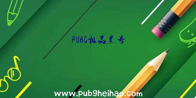 PUBG极品黑号