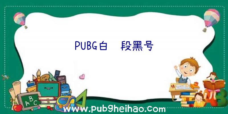 PUBG白银段黑号