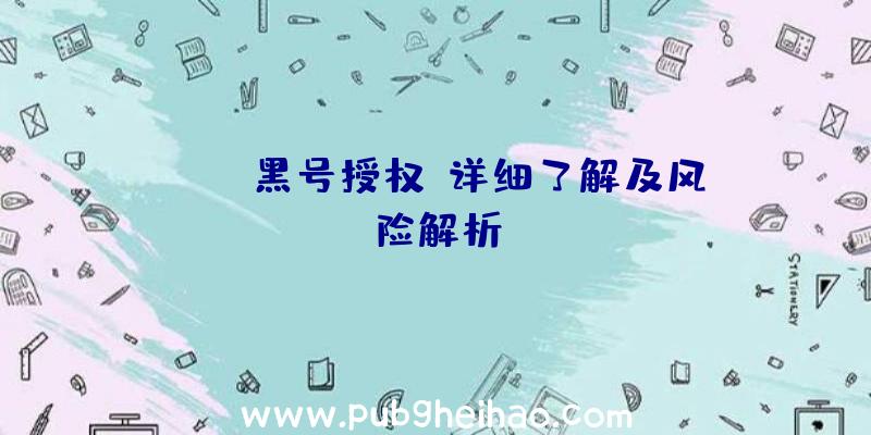 PUBG黑号授权：详细了解及风险解析