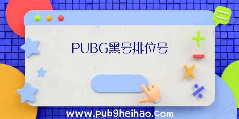 PUBG黑号排位号