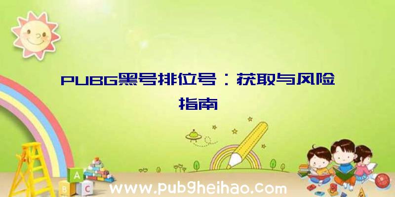 PUBG黑号排位号：获取与风险指南