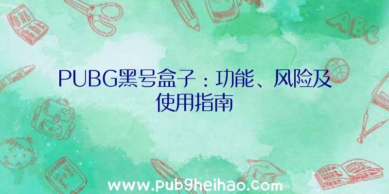 PUBG黑号盒子：功能、风险及使用指南