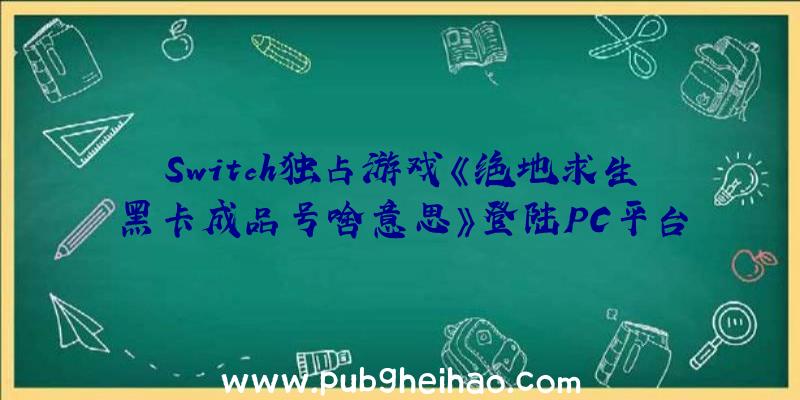 Switch独占游戏《绝地求生黑卡成品号啥意思》登陆PC平台，支持中文