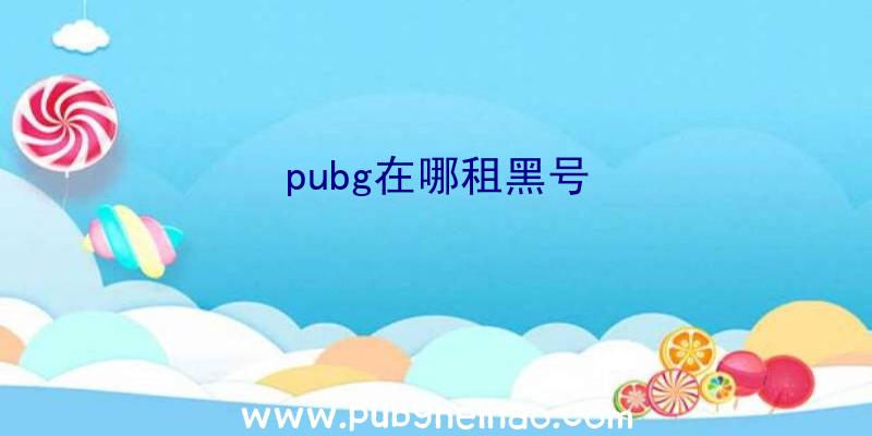 pubg在哪租黑号