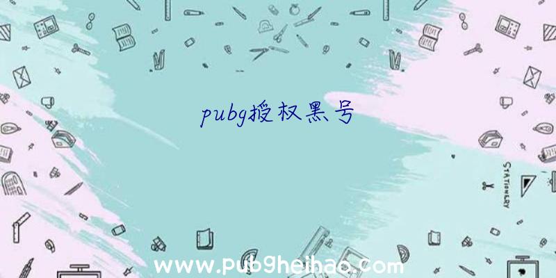 pubg授权黑号