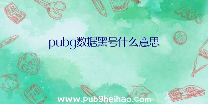 pubg数据黑号什么意思