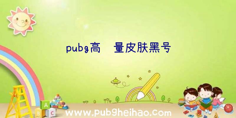 pubg高质量皮肤黑号