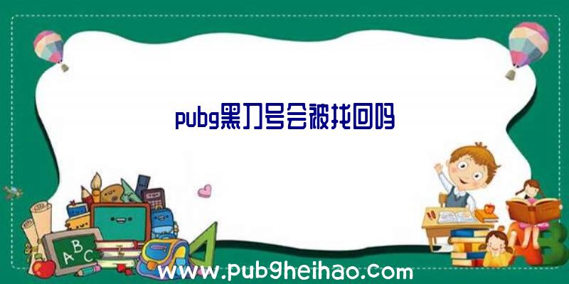 pubg黑刀号会被找回吗