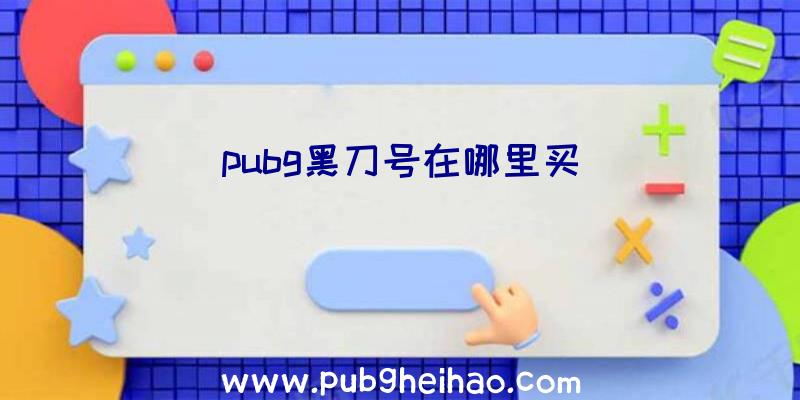 pubg黑刀号在哪里买