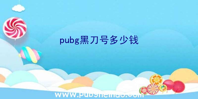 pubg黑刀号多少钱