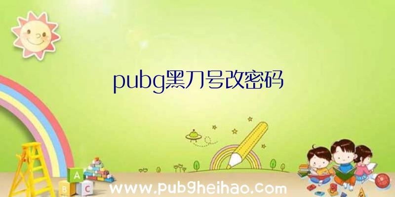 pubg黑刀号改密码