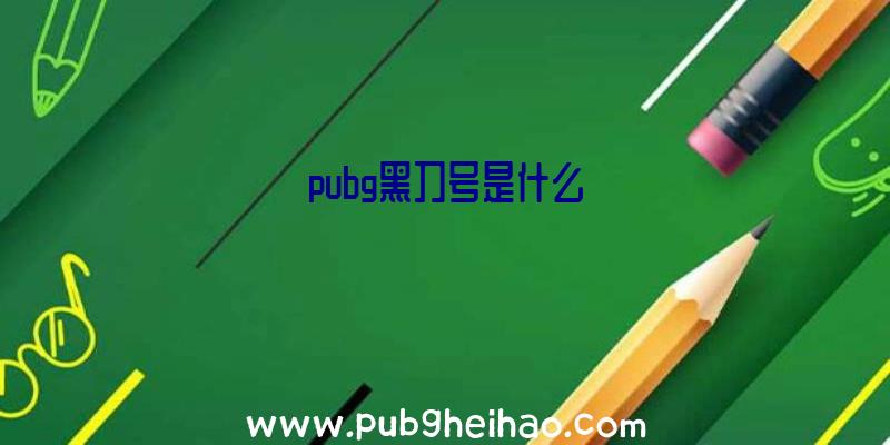 pubg黑刀号是什么