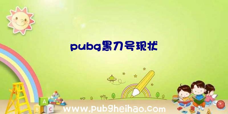 pubg黑刀号现状