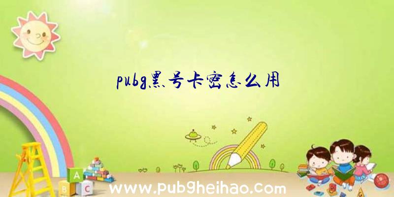 pubg黑号卡密怎么用