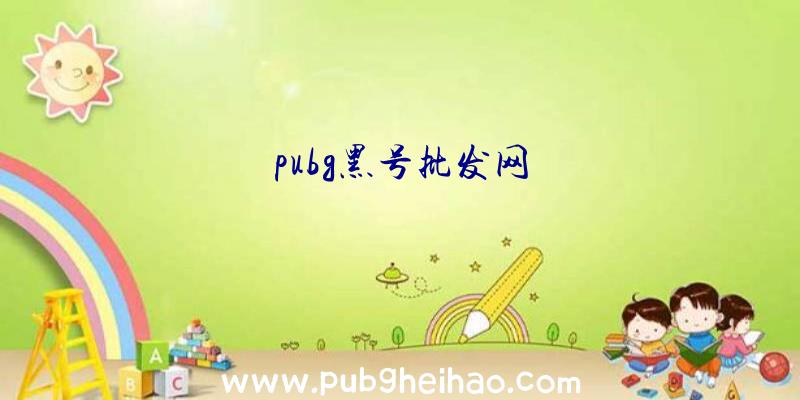 pubg黑号批发网