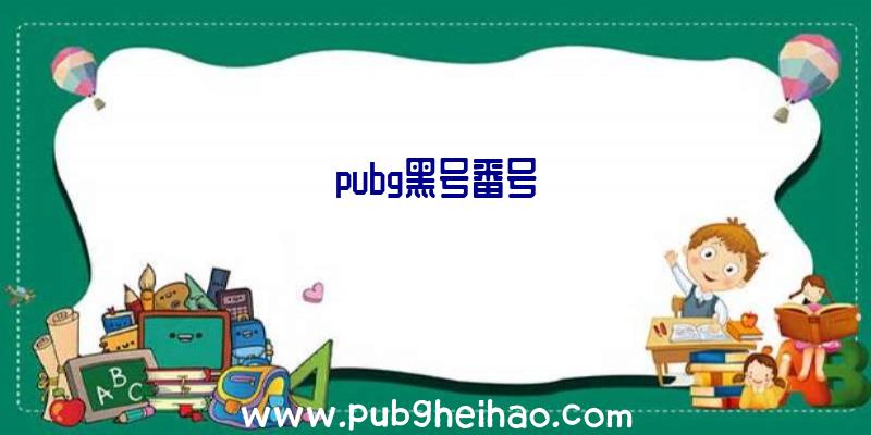 pubg黑号番号