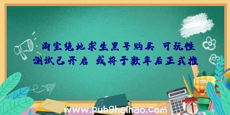 《淘宝绝地求生黑号购买》可玩性测试已开启，或将于数年后正式推出