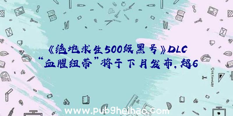 《绝地求生500级黑号》DLC“血腥纽带”将于下月发布，超6小时体验将着重于感染者战斗