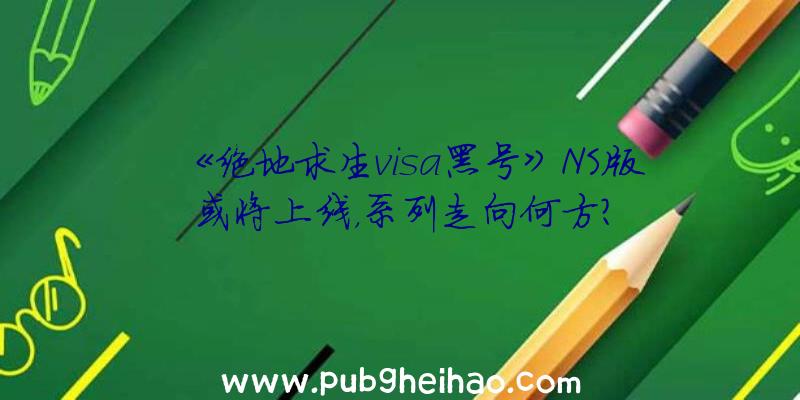 《绝地求生visa黑号》NS版或将上线，系列走向何方？