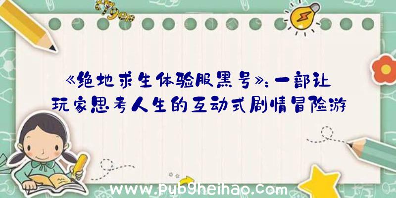 《绝地求生体验服黑号》：一部让玩家思考人生的互动式剧情冒险游戏