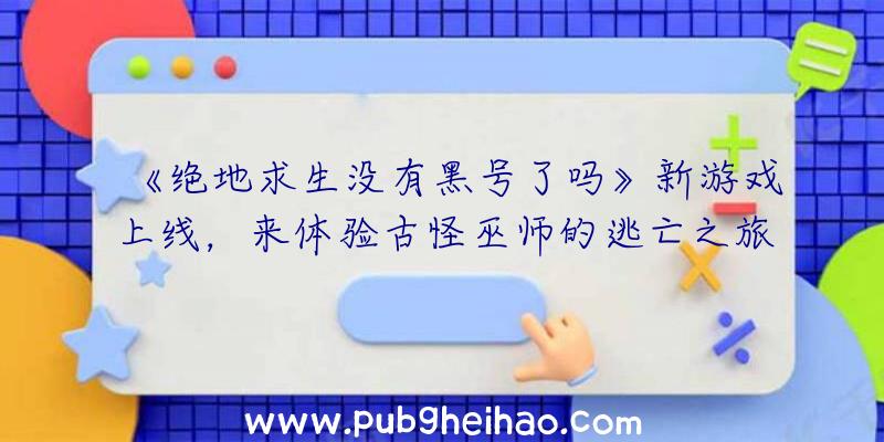 《绝地求生没有黑号了吗》新游戏上线，来体验古怪巫师的逃亡之旅！