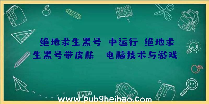 《绝地求生黑号》中运行《绝地求生黑号带皮肤》：电脑技术与游戏文化的奇妙交织