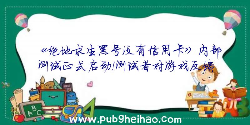 《绝地求生黑号没有信用卡》内部测试正式启动！测试者对游戏反馈积极！