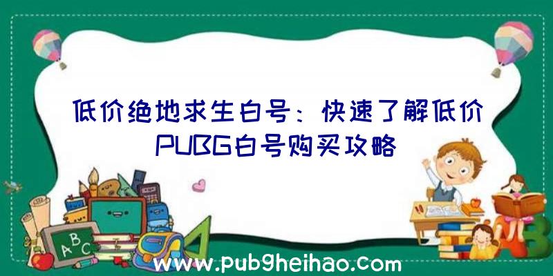 低价绝地求生白号：快速了解低价PUBG白号购买攻略