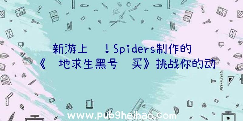 新游上线！Spiders制作的《绝地求生黑号购买》挑战你的动作技能和战略智慧