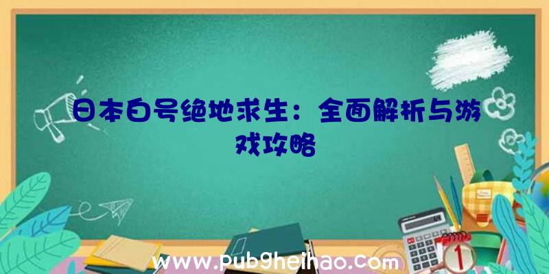 日本白号绝地求生：全面解析与游戏攻略