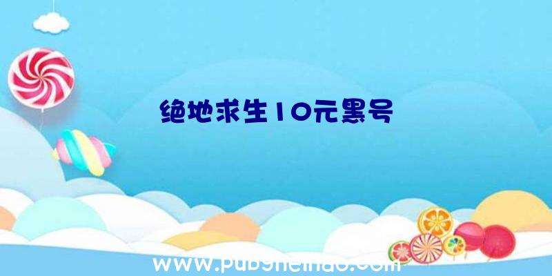 绝地求生10元黑号