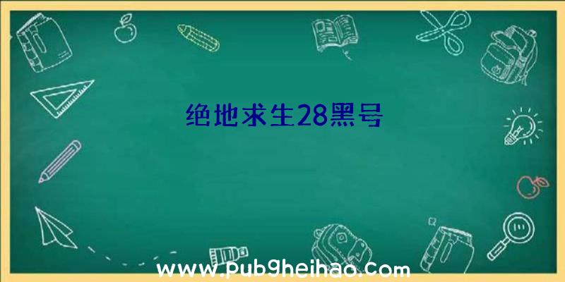 绝地求生28黑号