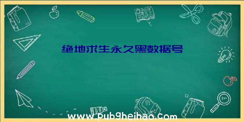 绝地求生永久黑数据号