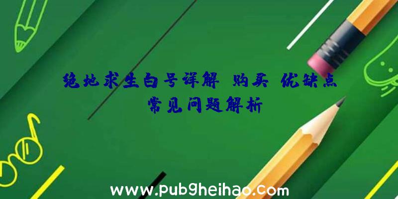 绝地求生白号详解：购买、优缺点及常见问题解析