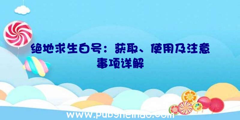 绝地求生白号：获取、使用及注意事项详解