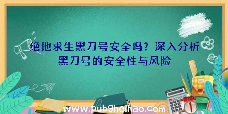 绝地求生黑刀号安全吗？深入分析黑刀号的安全性与风险