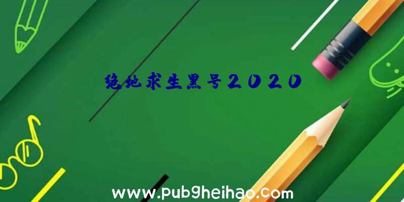 绝地求生黑号2020