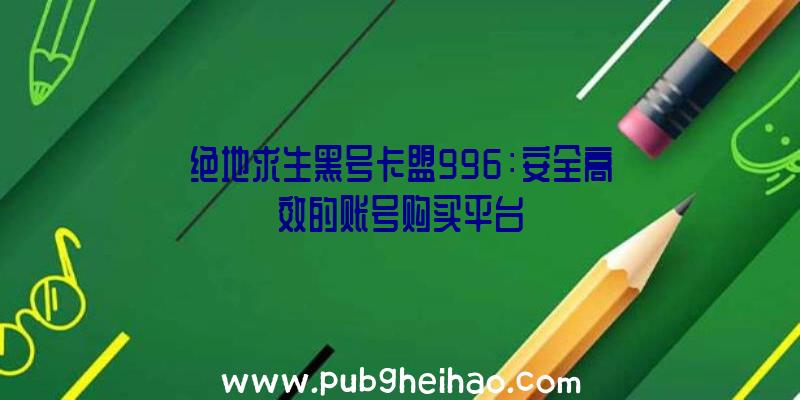 绝地求生黑号卡盟996：安全高效的账号购买平台