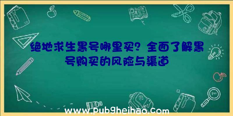 绝地求生黑号哪里买？全面了解黑号购买的风险与渠道