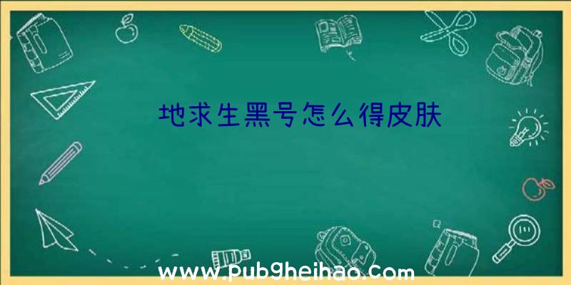 绝地求生黑号怎么得皮肤