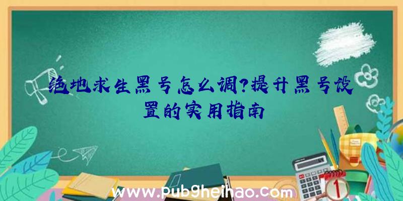 绝地求生黑号怎么调？提升黑号设置的实用指南