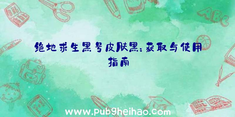 绝地求生黑号皮肤黑：获取与使用指南