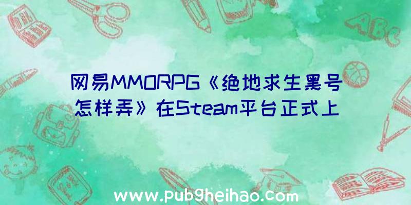 网易MMORPG《绝地求生黑号怎样弄》在Steam平台正式上线