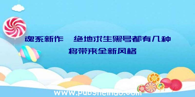 魂系新作《绝地求生黑号都有几种》将带来全新风格